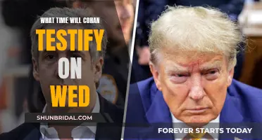Cohan's Testimony: When to Expect the Hearing