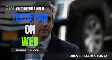 When Will Cohen Testify?