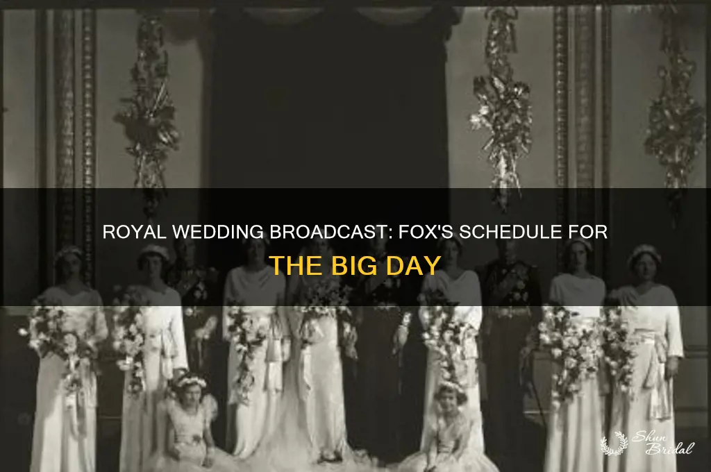 what time will fox broadcast royal wedding
