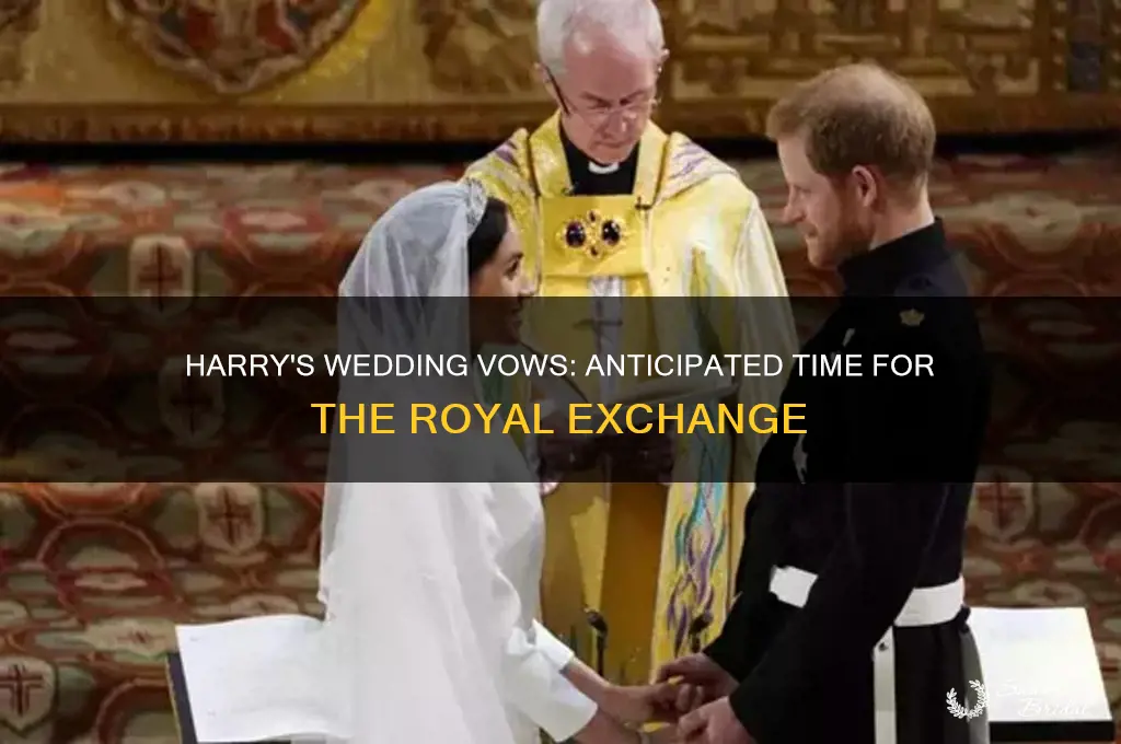 what time will harry exchange vows
