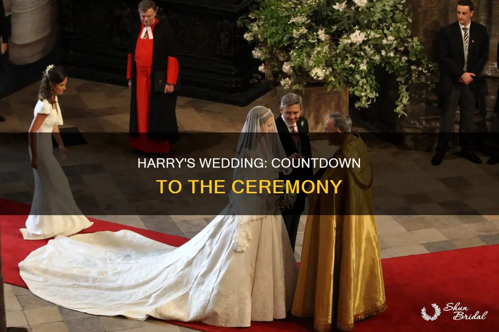 what time will harry