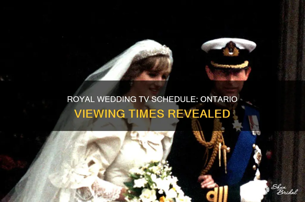 what time will royal wedding be on tv in ontario
