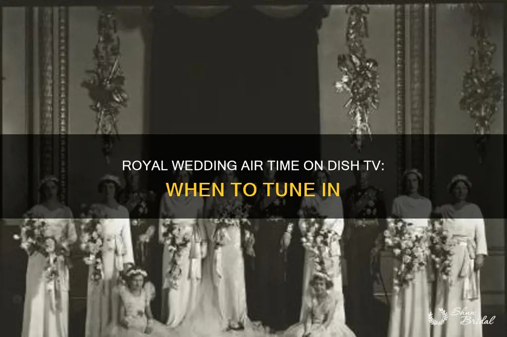 what time will the royal wedding air on dish ct