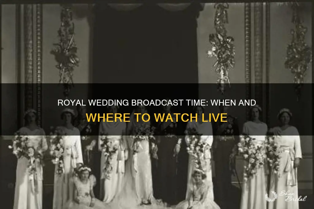 what time will the royal wedding b broadcast