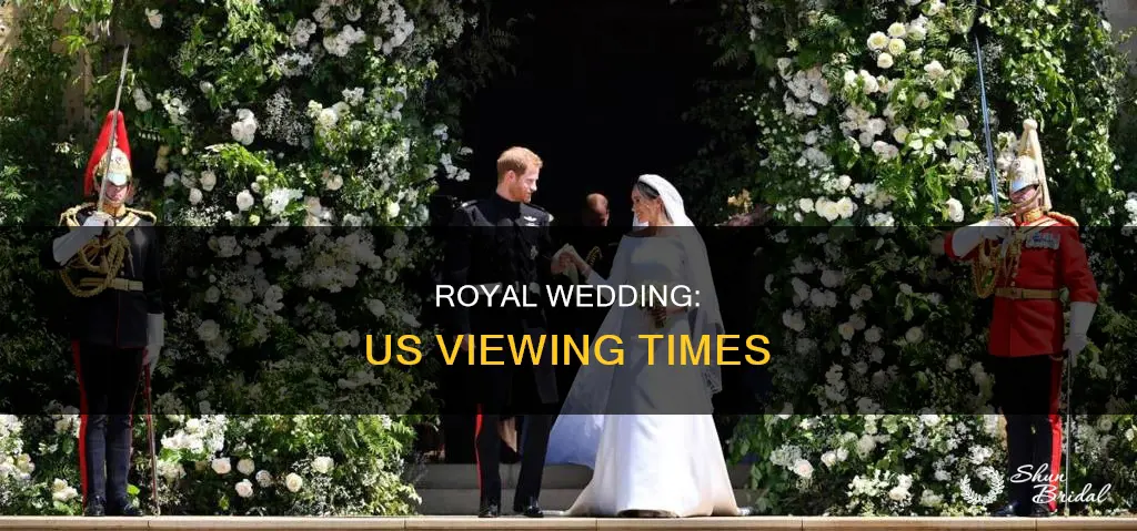 what time will the royql wedding air in the usa