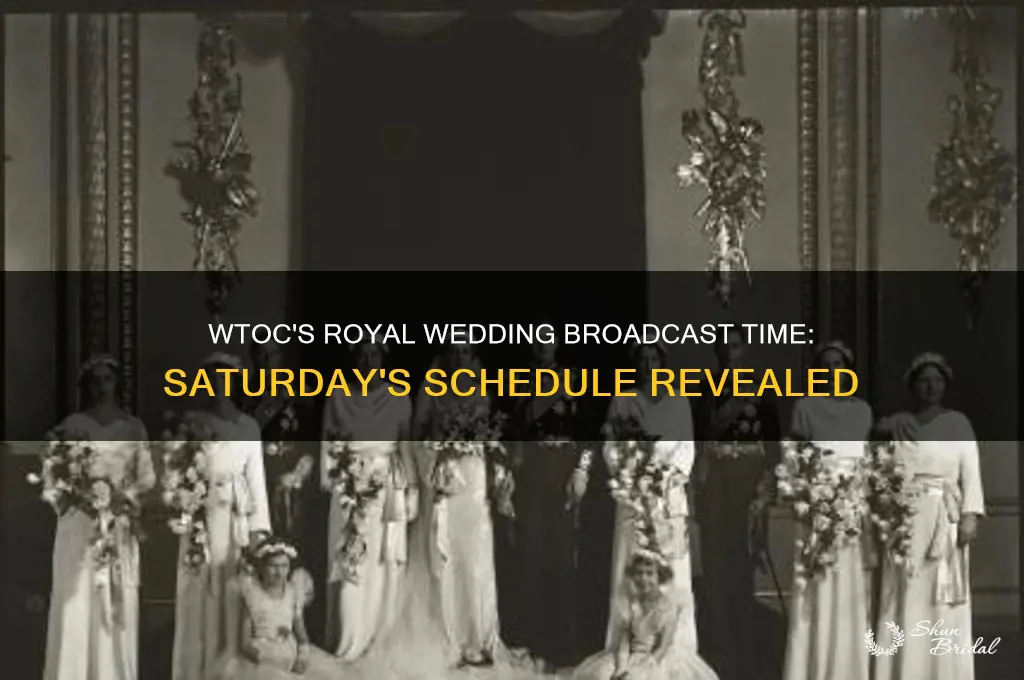 what time will wtoc air the royal wedding on saturday