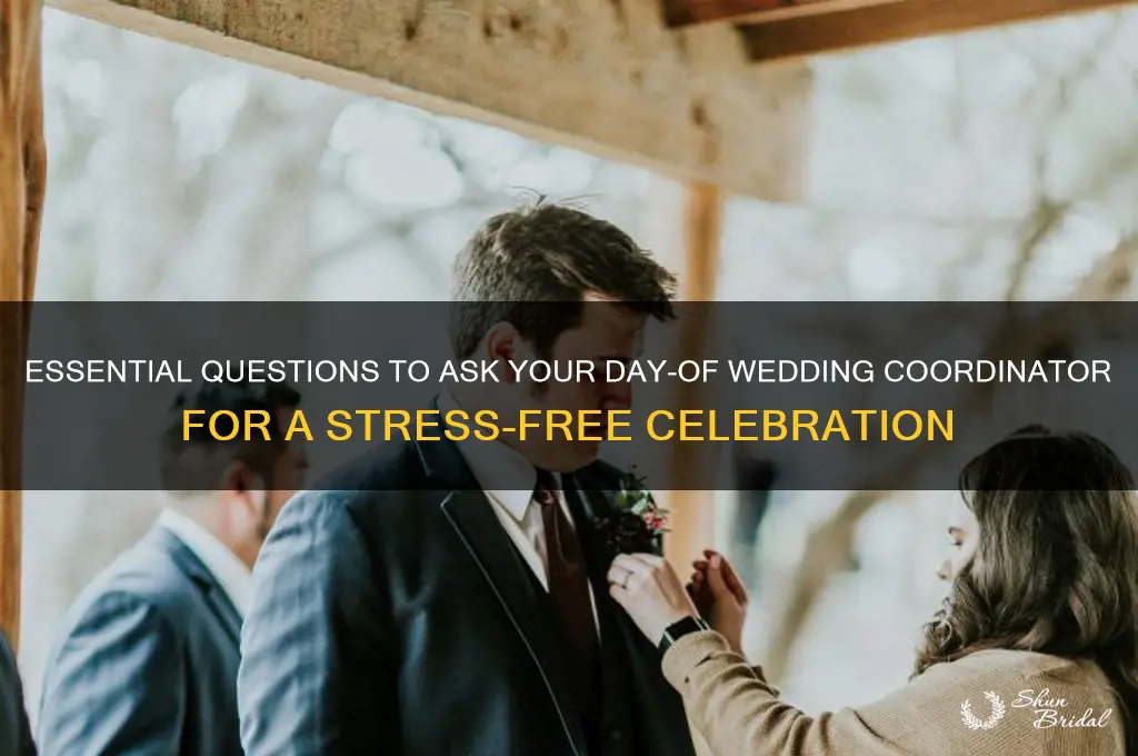 what to ask a day of wedding coordinator