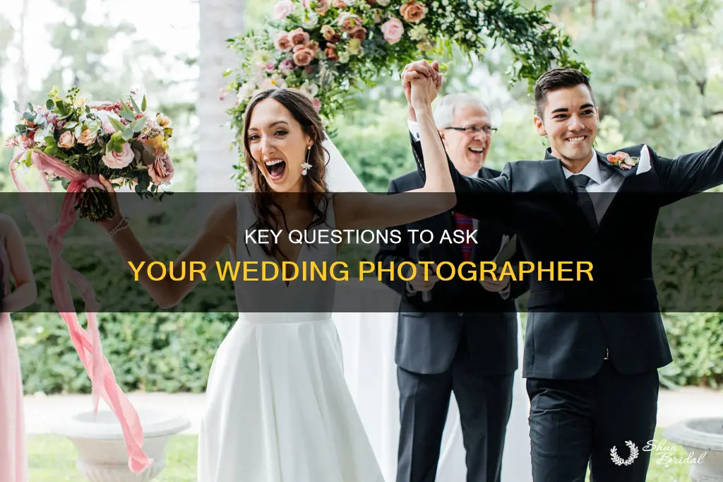 what to ask a wedding photographer the knot