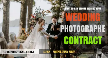 Key Questions to Ask Your Wedding Photographer