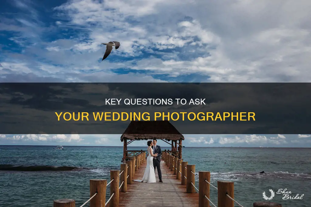 what to ask before signing your wedding photographer contract