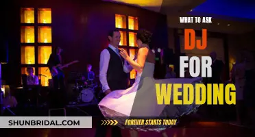 Questions to Ask Your Wedding DJ: A Guide