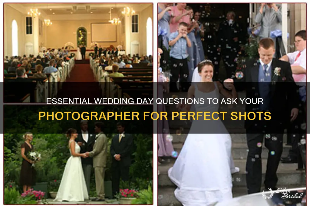 what to ask photographer for wedding on the day of