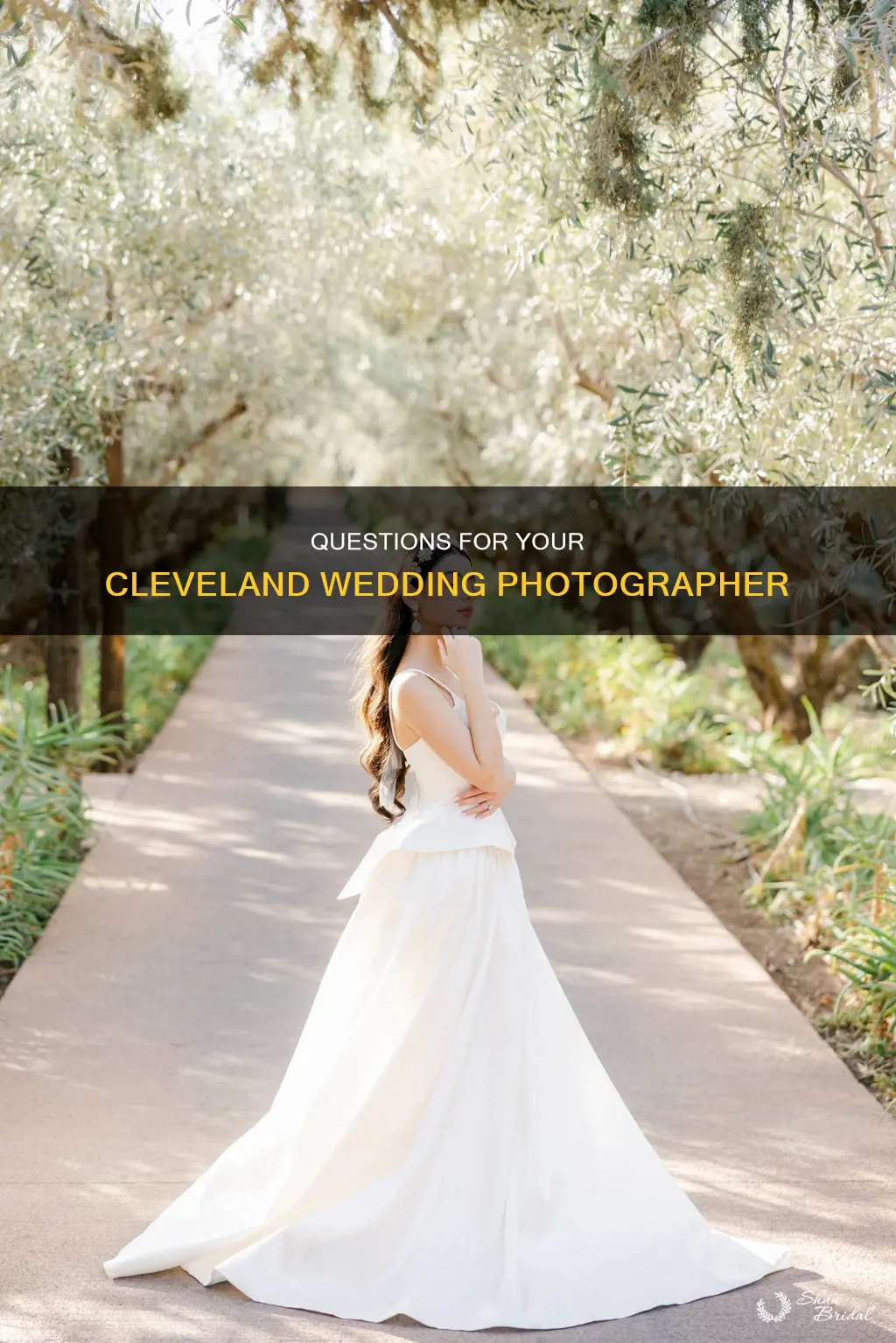 what to ask your cleveland wedding photographer