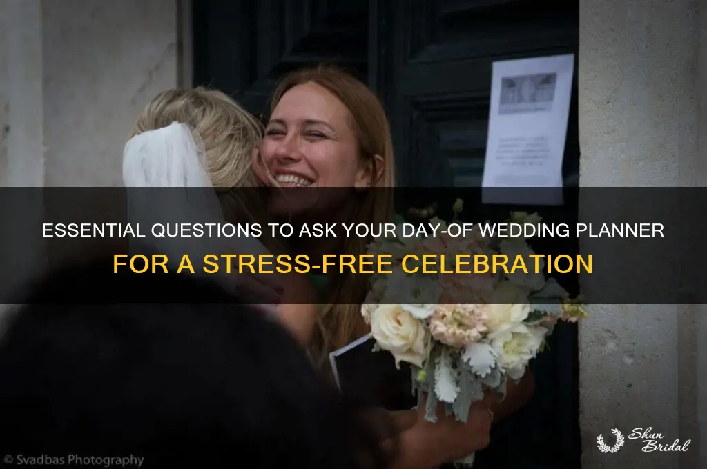 what to ask your day of wedding planner