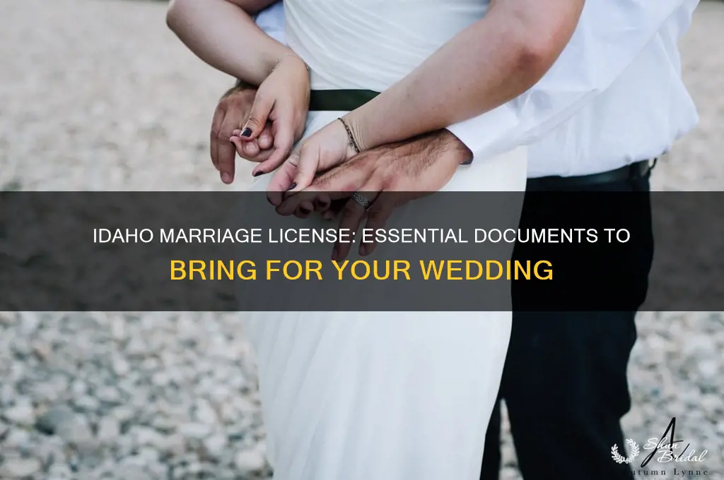 what to bring to buy a wedding license idaho