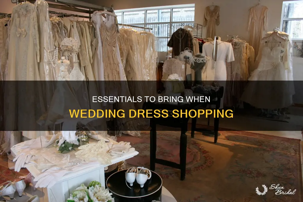 what to bring wedding dress shopping as a guest