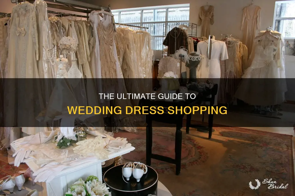 what to bring wedding dress shoppinh