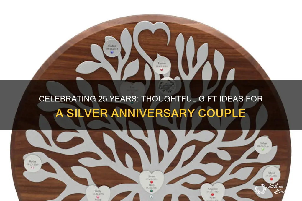 what to buy a couple for their 25th wedding anniversary