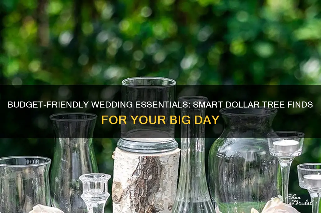 what to buy at dollar tree for your wedding