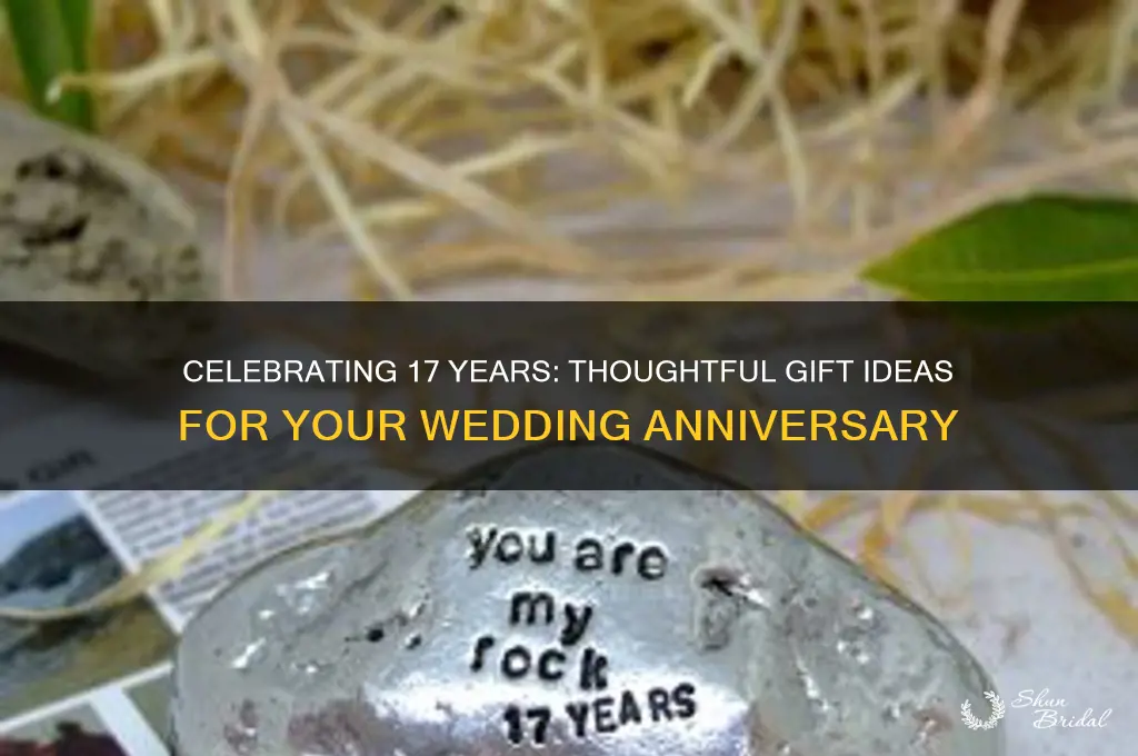 what to buy for 17th wedding anniversary