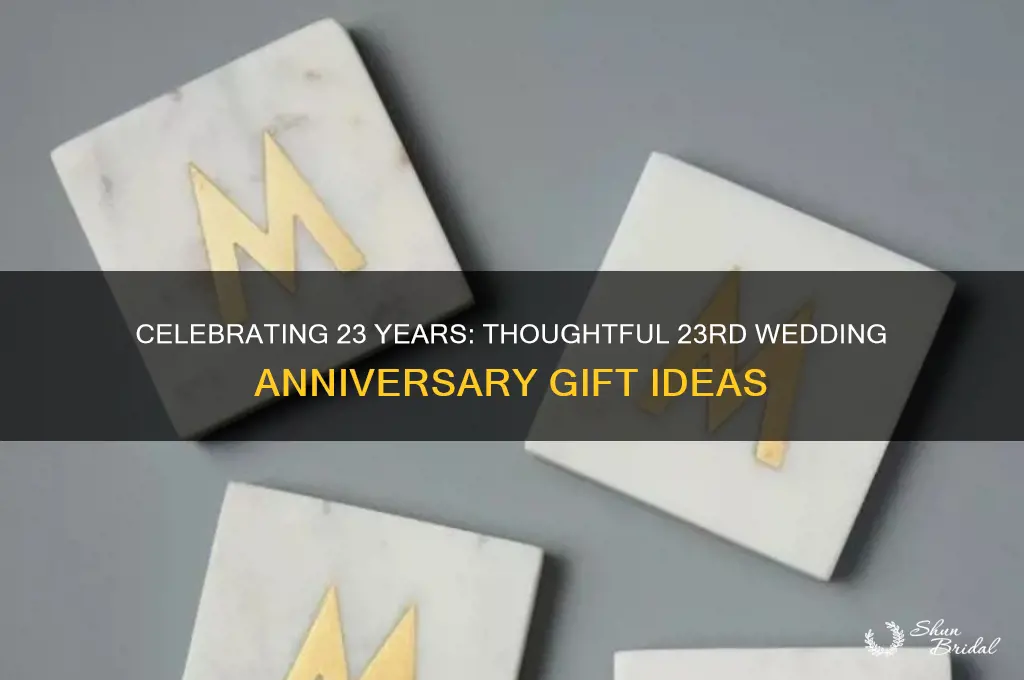 what to buy for 23rd wedding anniversary
