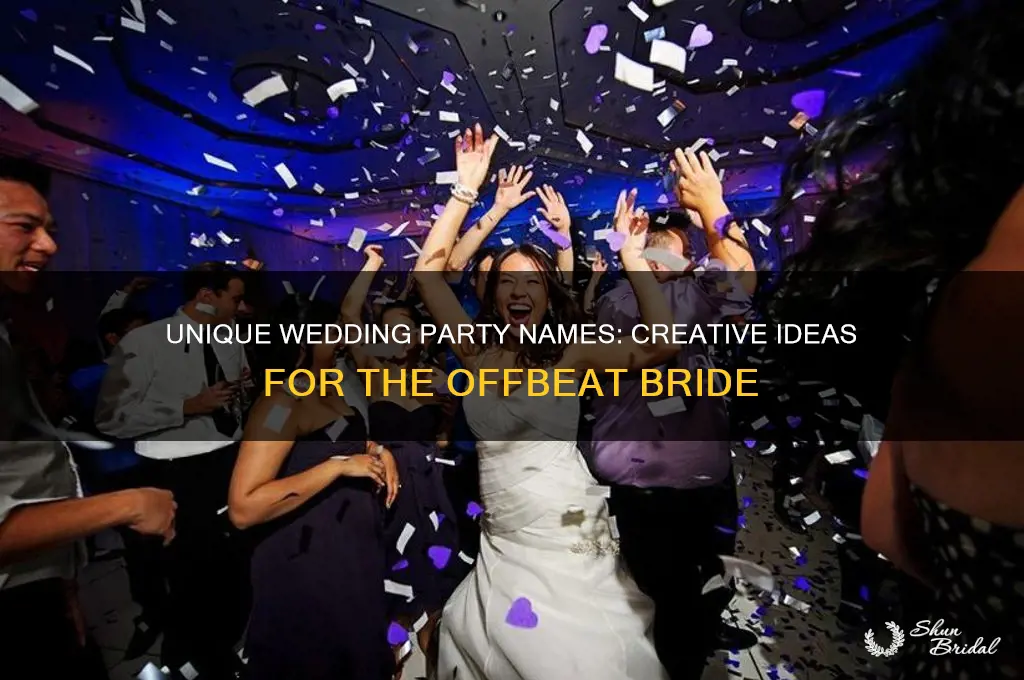 what to call wedding party offbeat bride