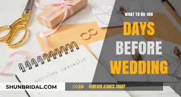Pre-Wedding Countdown: 100-Day Guide to a Stress-Free Big Day