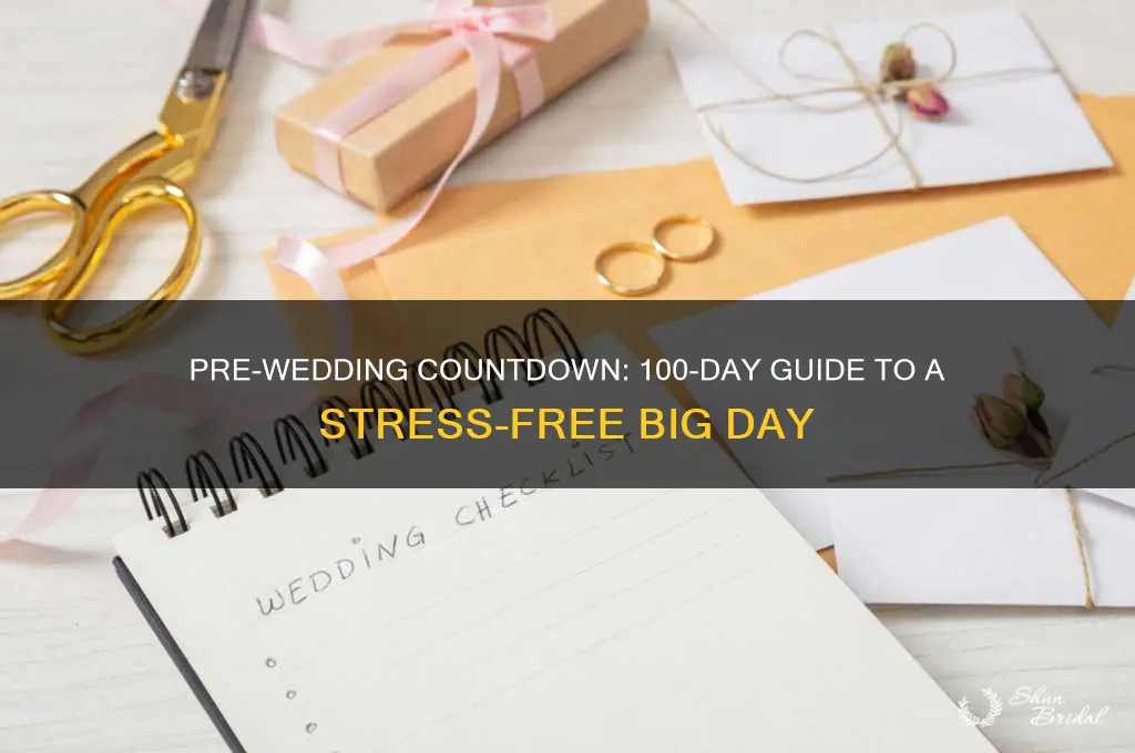 what to do 100 days before wedding