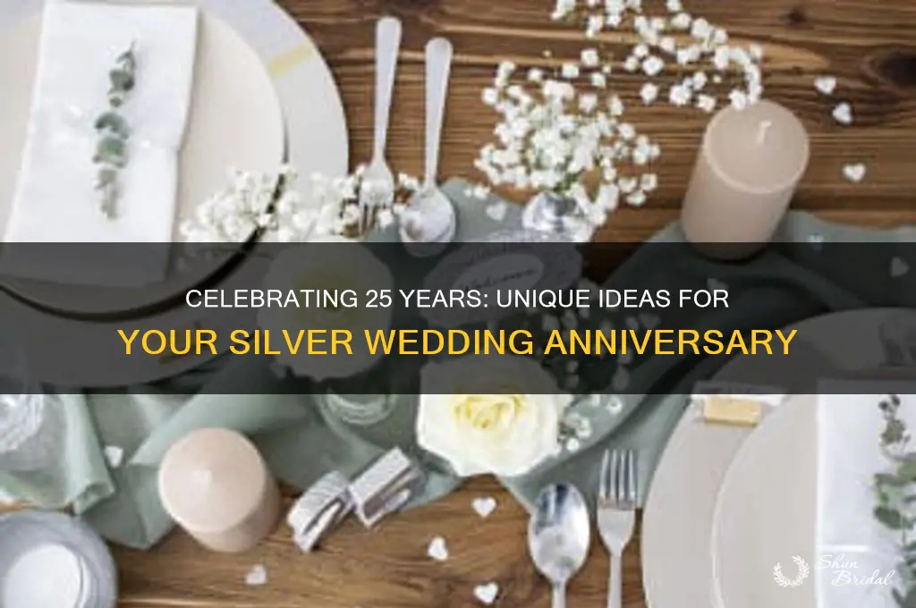 what to do 25th wedding anniversary