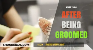 Reclaiming Your Power: Steps to Heal After Grooming Trauma