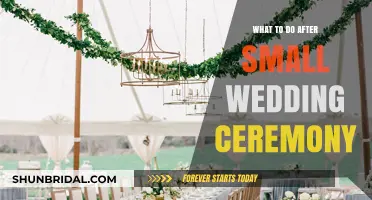 Intimate Celebrations: Post-Small Wedding Ideas for a Memorable Continuation