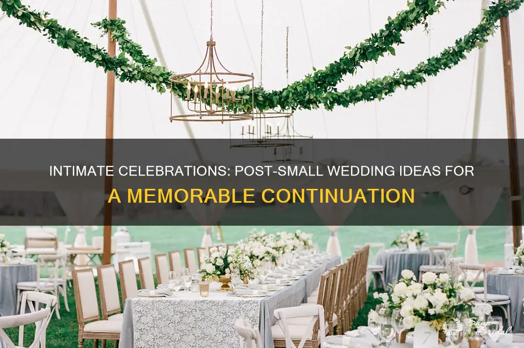 what to do after small wedding ceremony