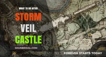 Post-Stormveil Castle: Essential Steps to Progress in Elden Ring