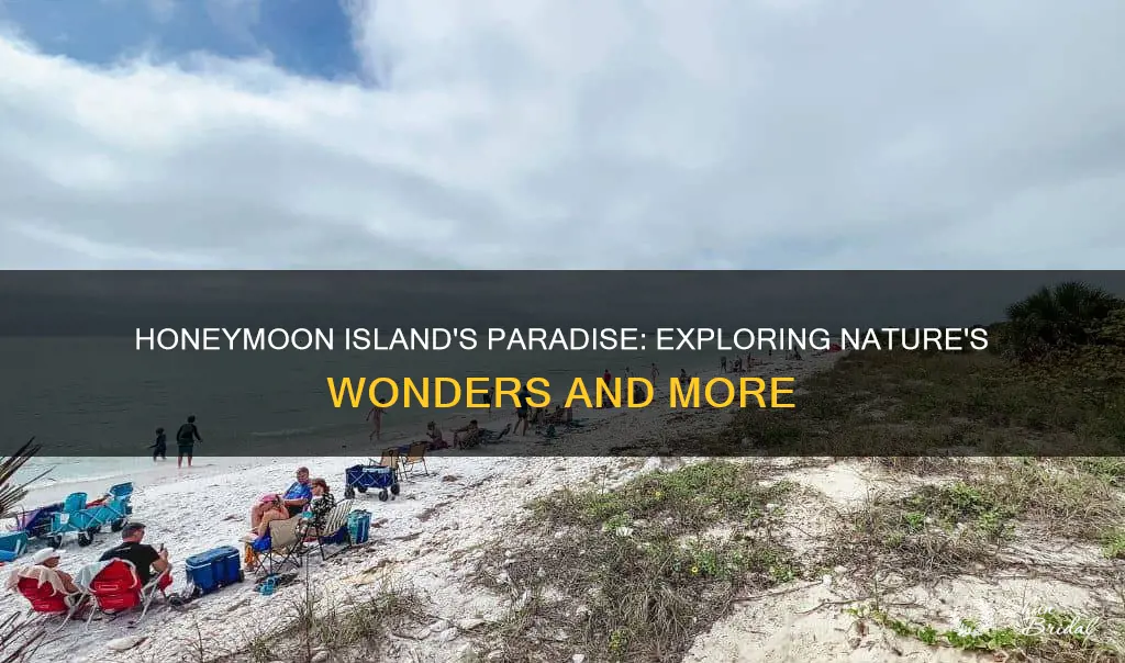 what to do at honeymoon island state park