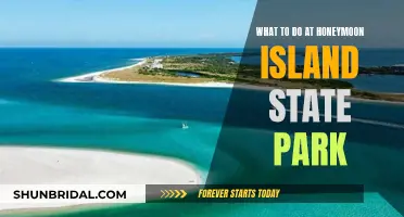 Honeymoon Island State Park: A Guide to Paradise