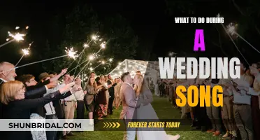 Wedding Song Fun: Dance, Sing, and Celebrate Together