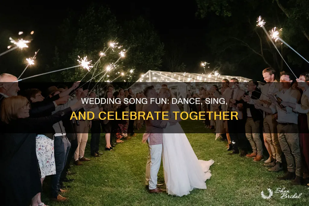 what to do during a wedding song