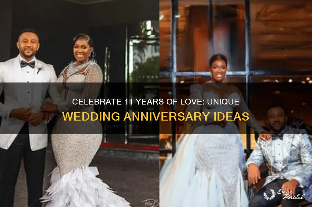 what to do for 11 wedding anniversary