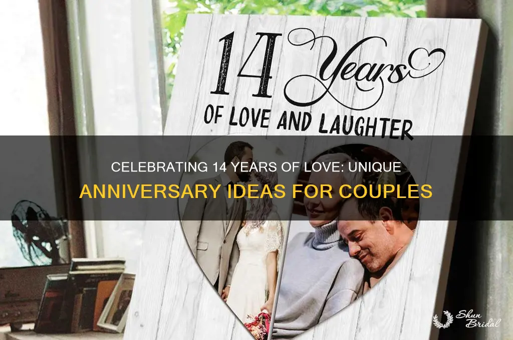 what to do for 14 year wedding anniversary