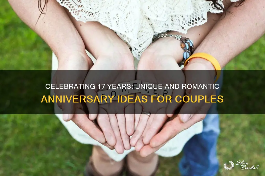 what to do for 17th wedding anniversary