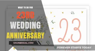 Celebrating 23 Years of Love: Unique Anniversary Ideas and Traditions