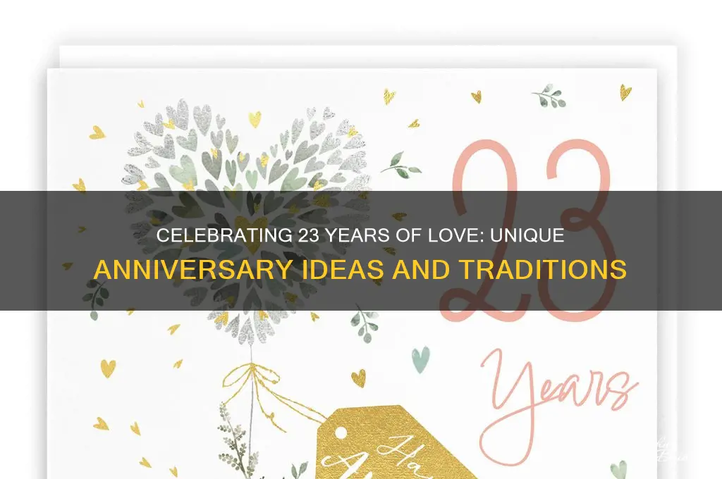what to do for 23rd wedding anniversary
