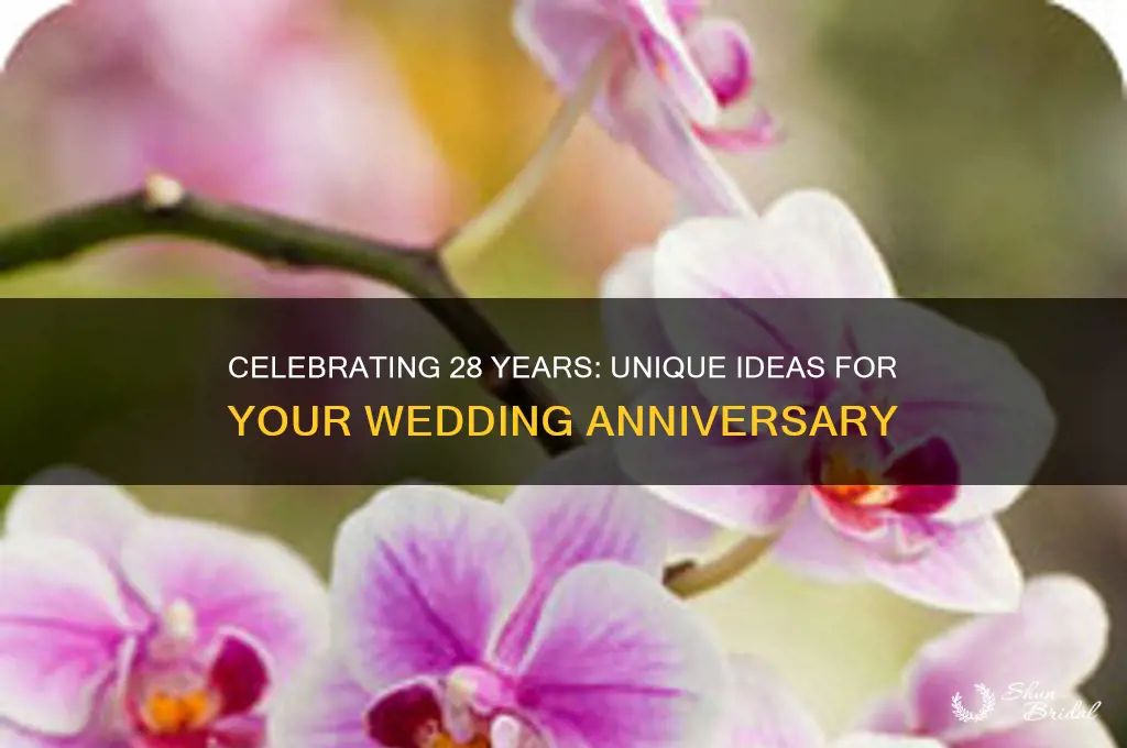 what to do for 28th wedding anniversary