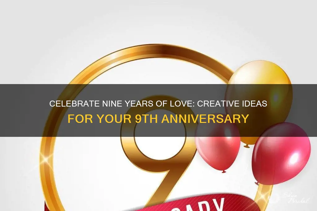 what to do for a 9 ear wedding anniversary