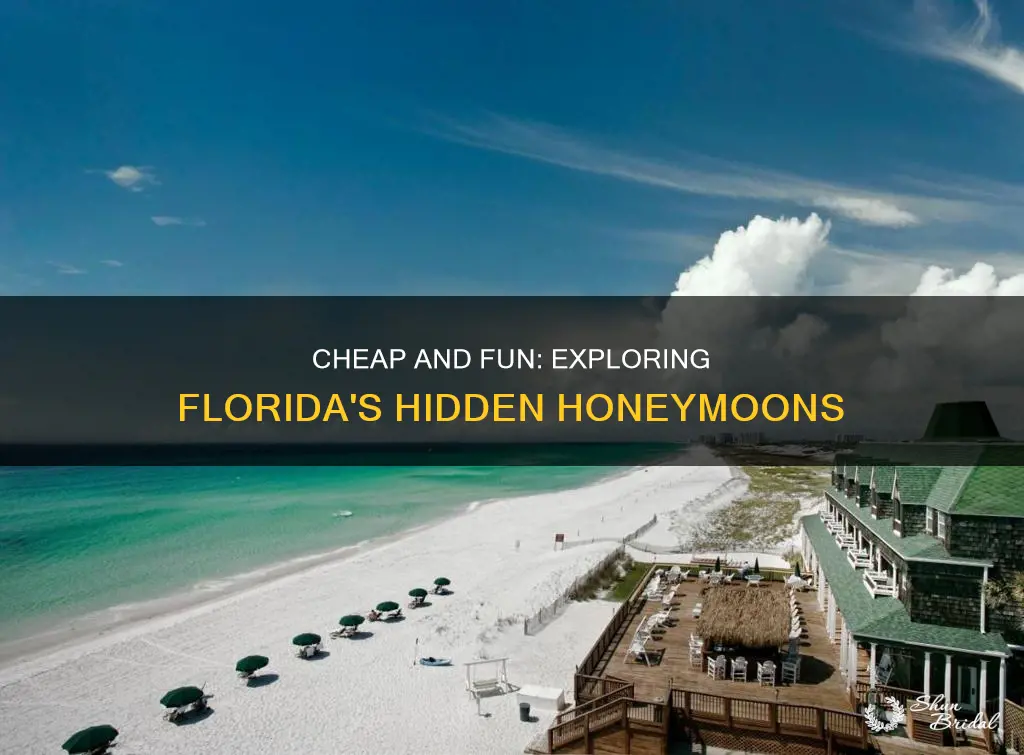 what to do for a cheap honeymoon in fl