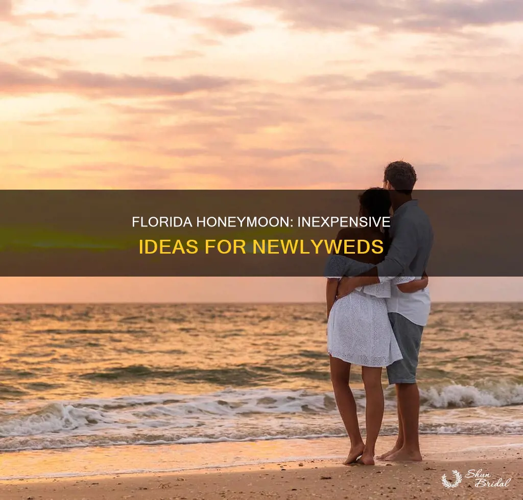 what to do for a cheap honeymoon in fl