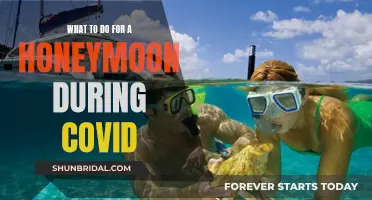 Honeymoon Planning During COVID: Adapt and Explore