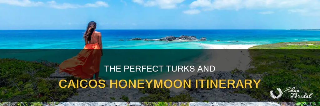 what to do for a turks and caicos honeymoon