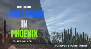 Honeymoon in Phoenix: Adventure Awaits in the Desert City