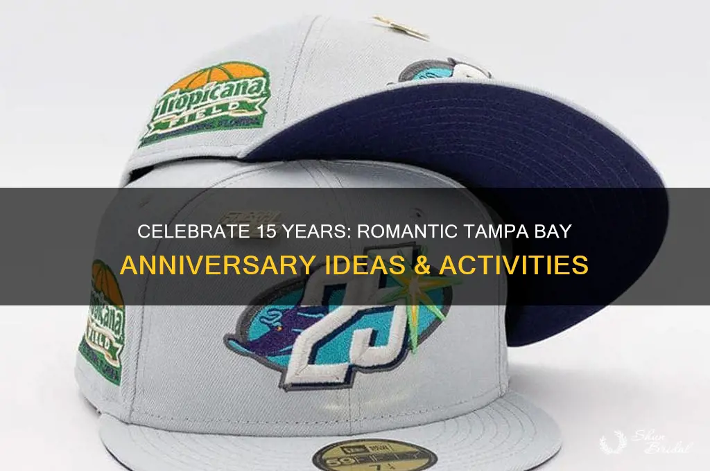 what to do for my 15th wedding anniversary tampa bay